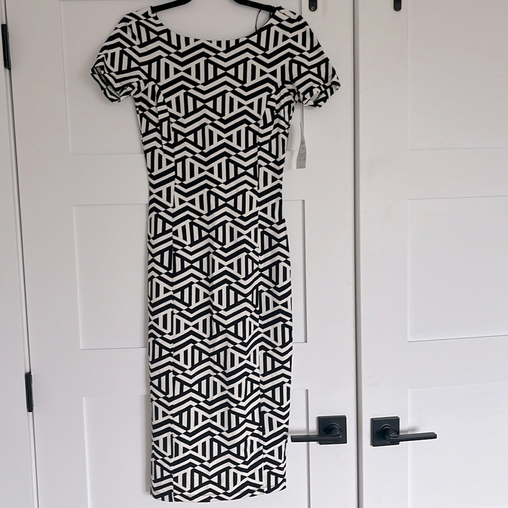 Zara dress